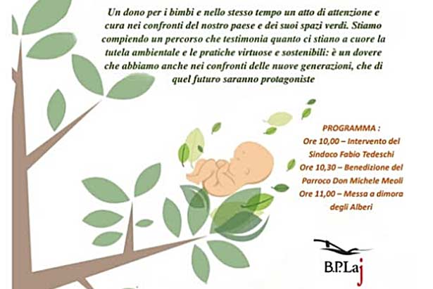 un albero per ogni nato